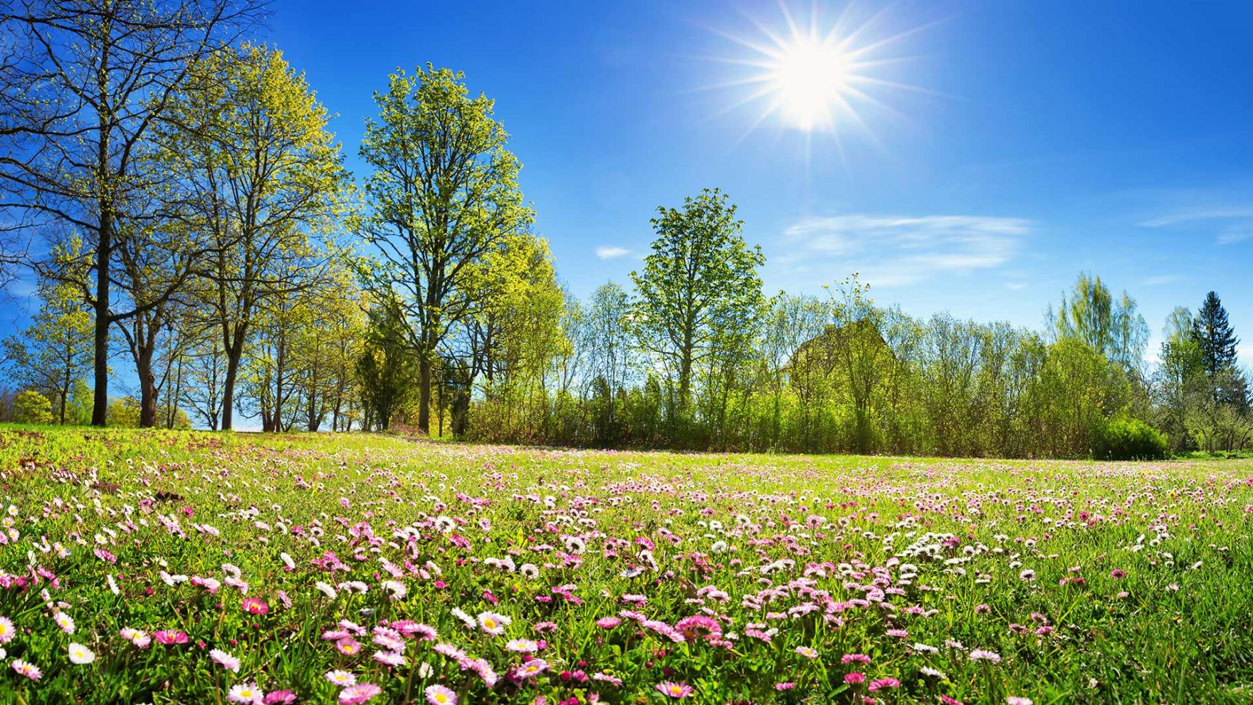 Primavera a Merano e dintorni