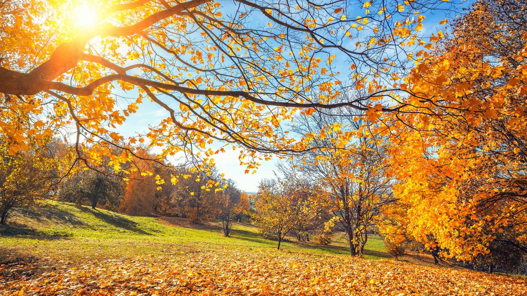 Vacanze d'autunno a Merano e dintorni
