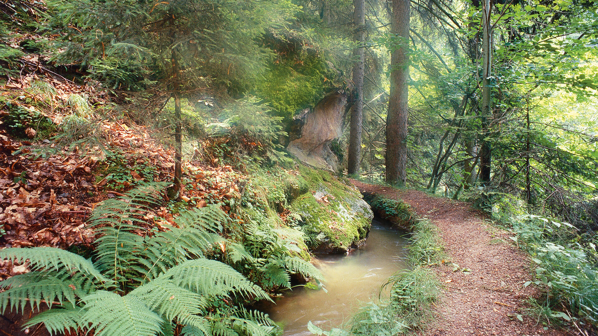 Roggia di Maia