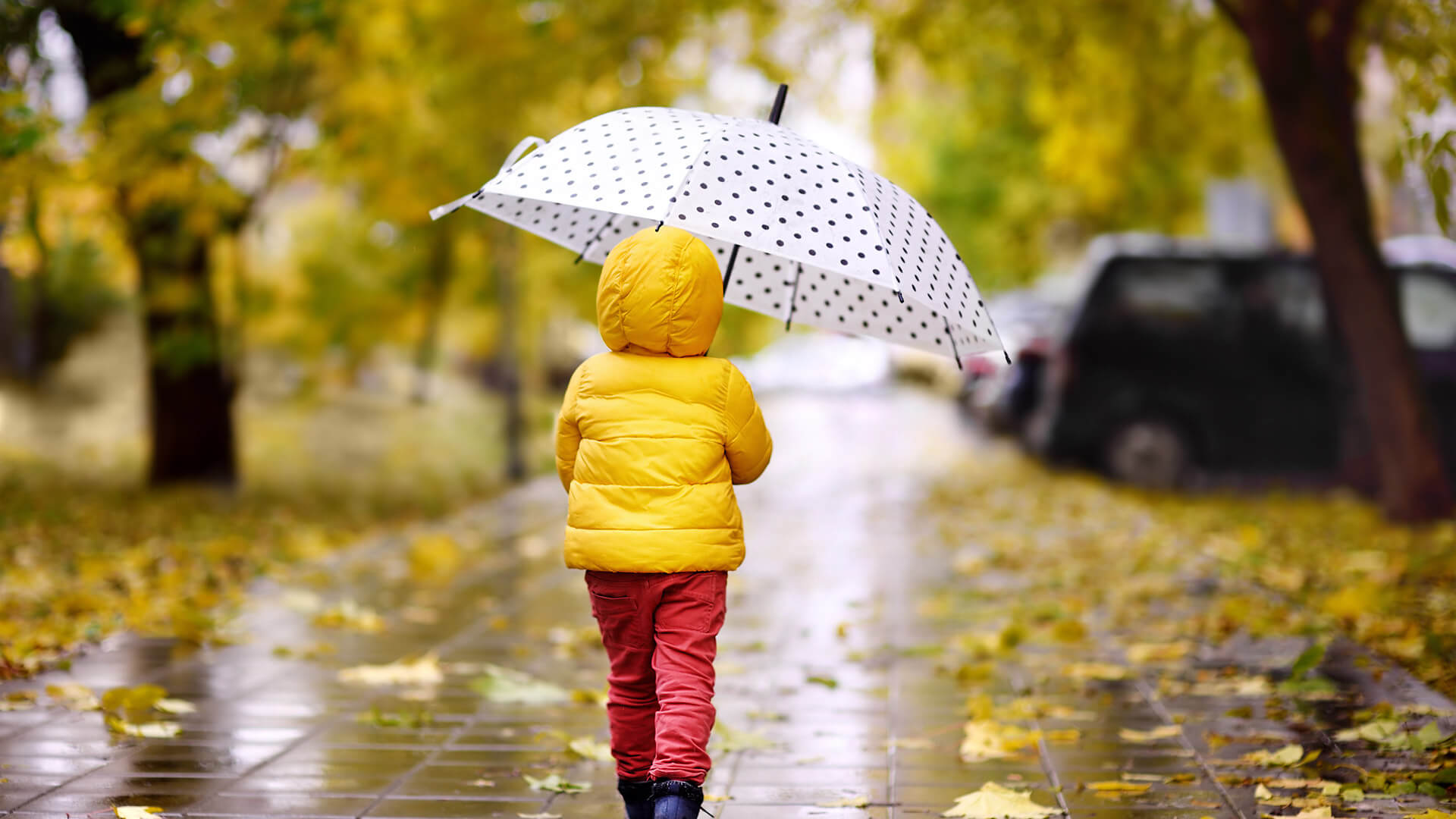 Merano sotto la pioggia