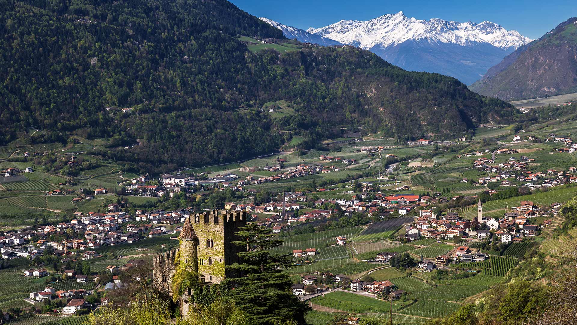 Vista sul Castel Fontana