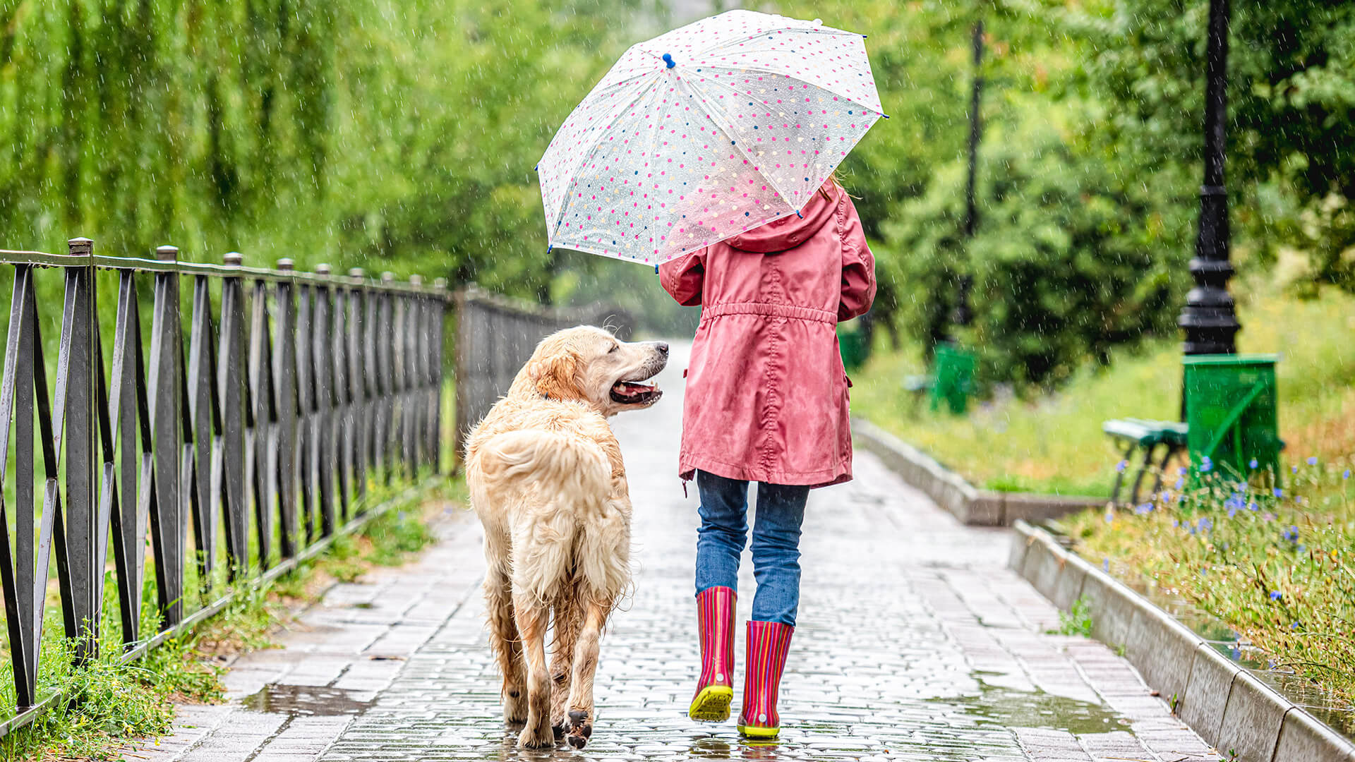 Una passeggiata sotto la pioggia