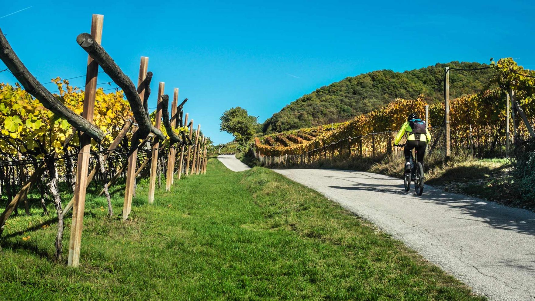 Bikehotel