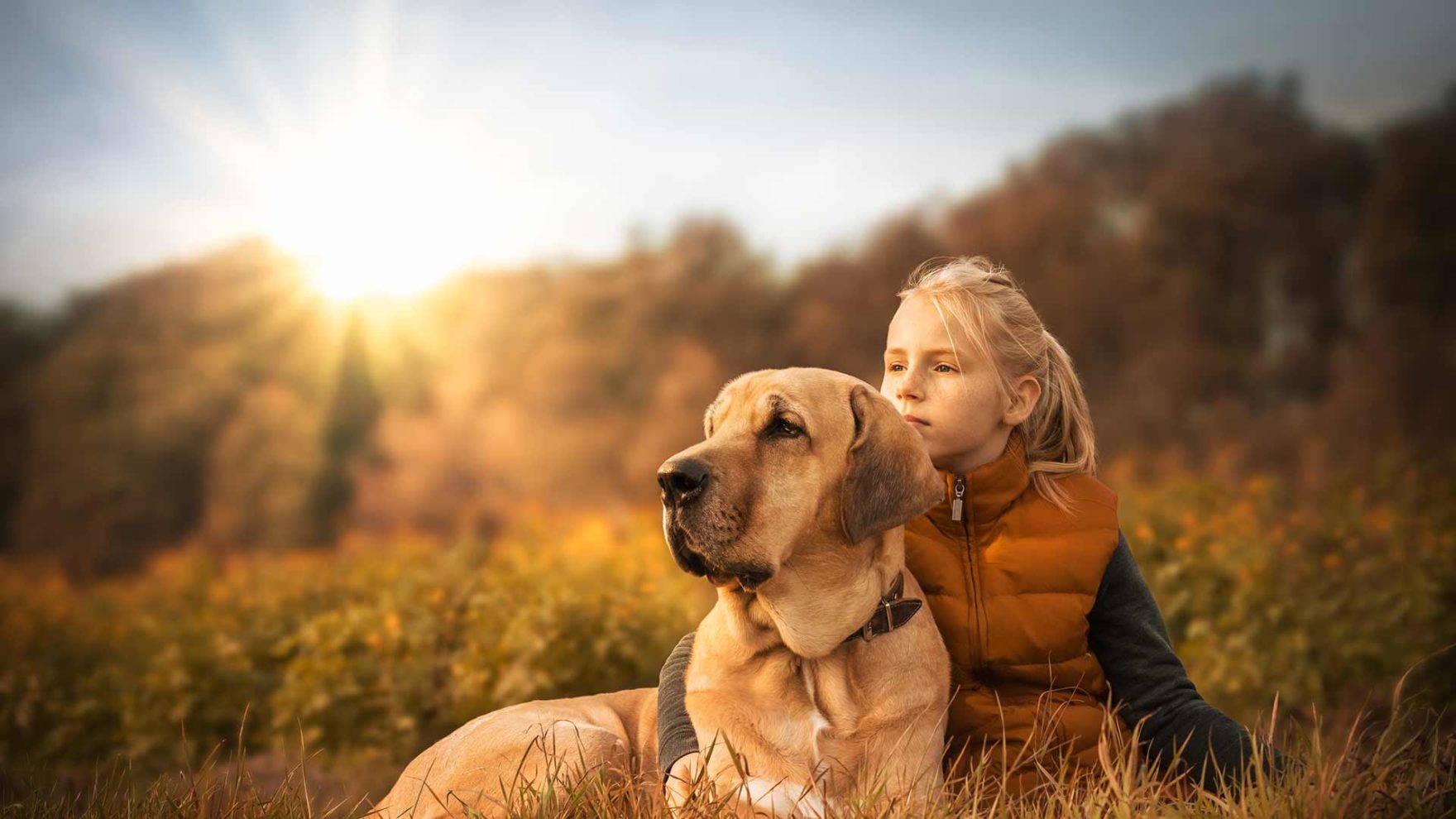 Hotel per la vacanza con il cane